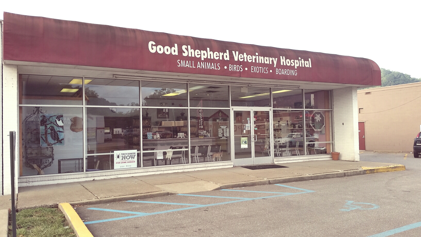 shepherds veterinary clinic